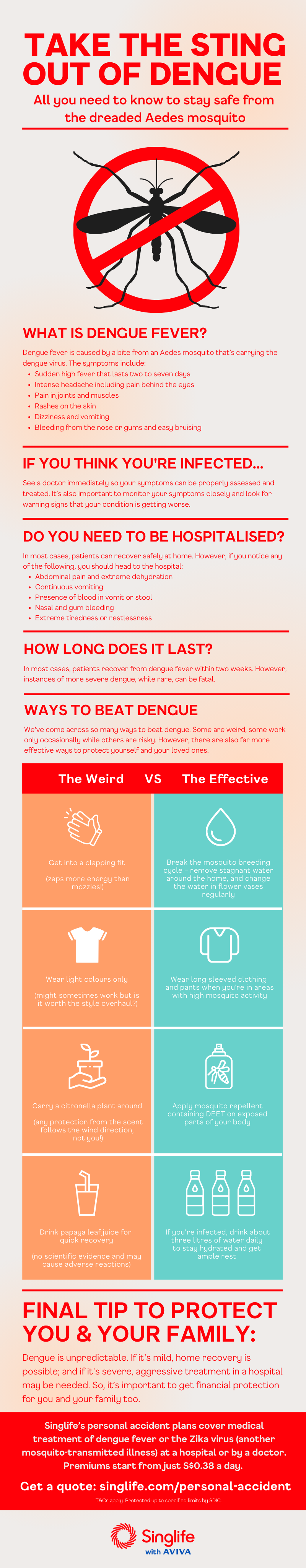 All about dengue fever - Singlife Singapore