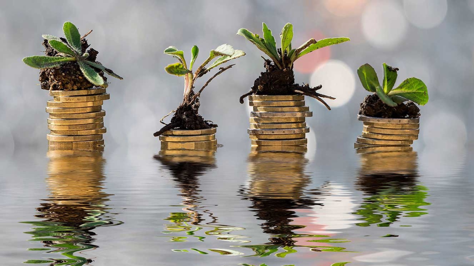 People from different walks of life reveal the money move that has not only changed their life but also given them a different kind of wealth.