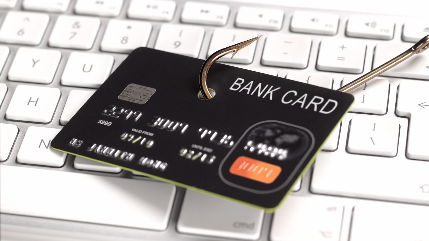 Phishing attacks can happen anytime and anywhere, and their effects can cripple everyone from you, as an individual, to an entire company. 