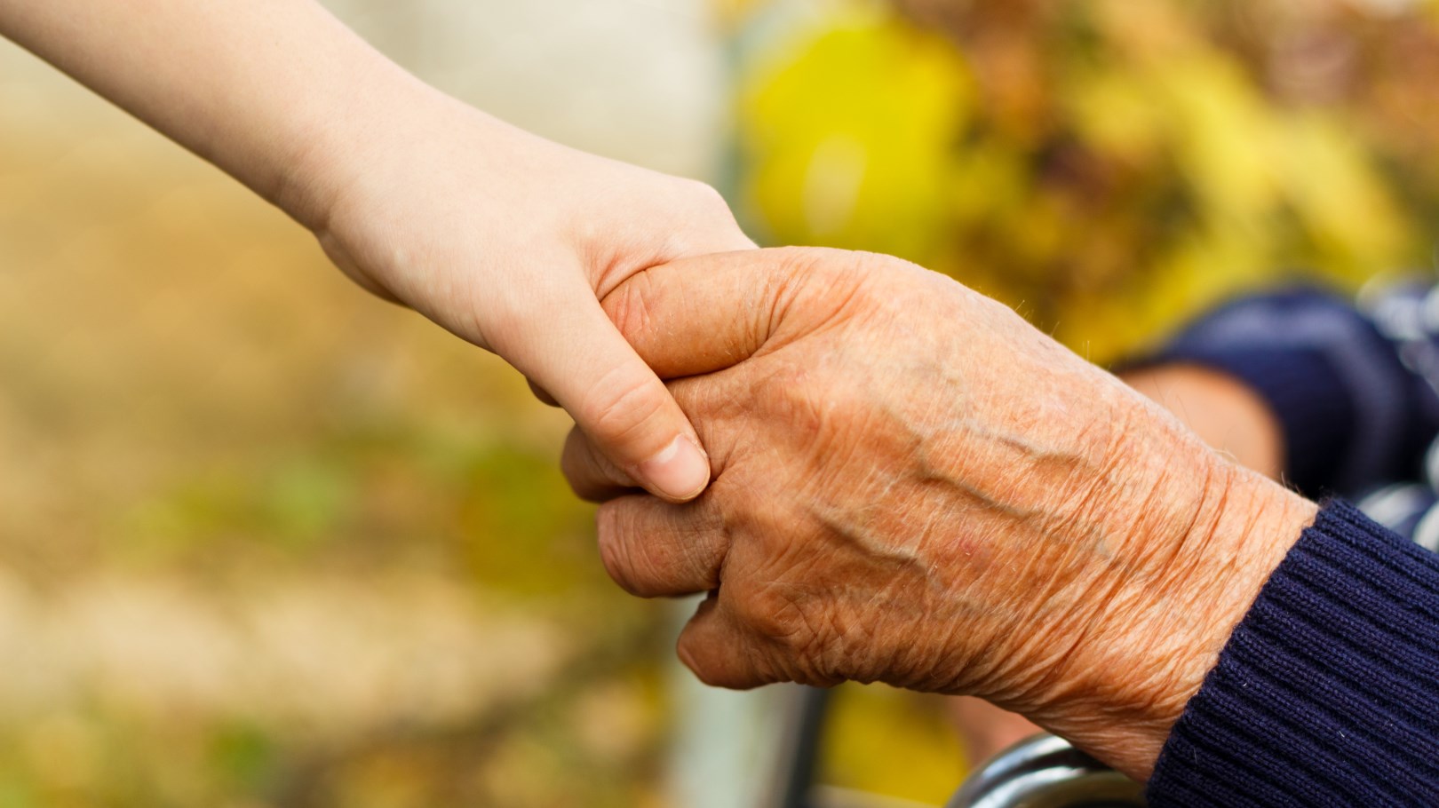 Find out more about term and whole life insurance and which one suits your needs.
