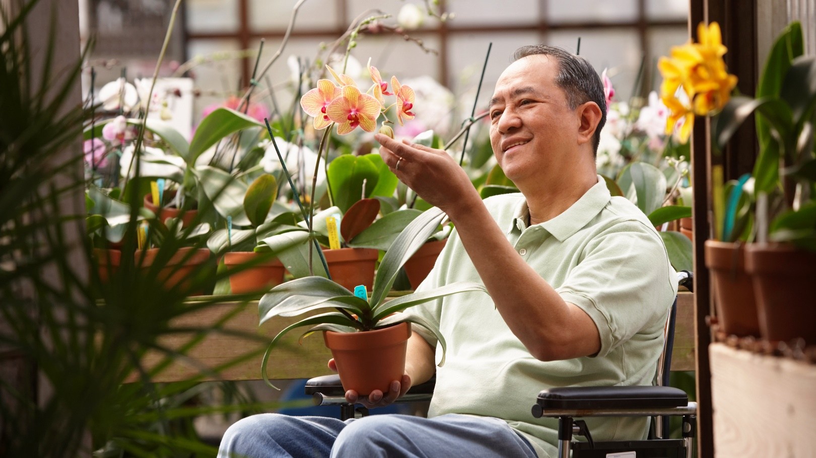 What the new scheme means for you and how you can build a solid defence plan against debt from severe disability.

