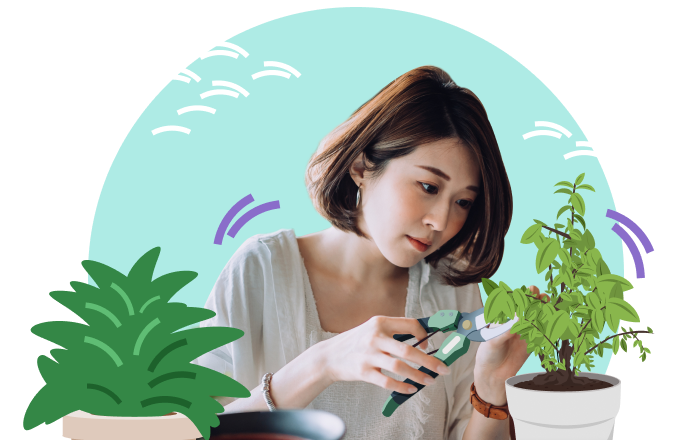 Image of Singlife Secure Saver IV